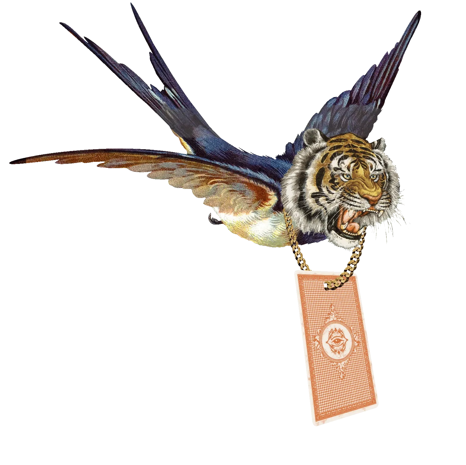 Animated gif of a Swallow Tiger